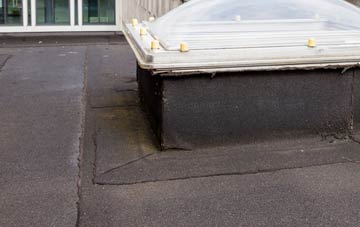 disadvantages of Marypark flat roofs