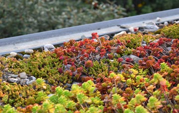 the cost of Marypark green roof installation