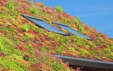 Marypark living roof systems