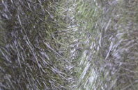 Marypark fibreglass roof work